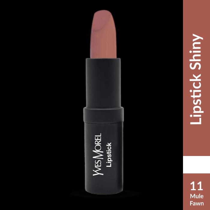 Lipstick Shiny